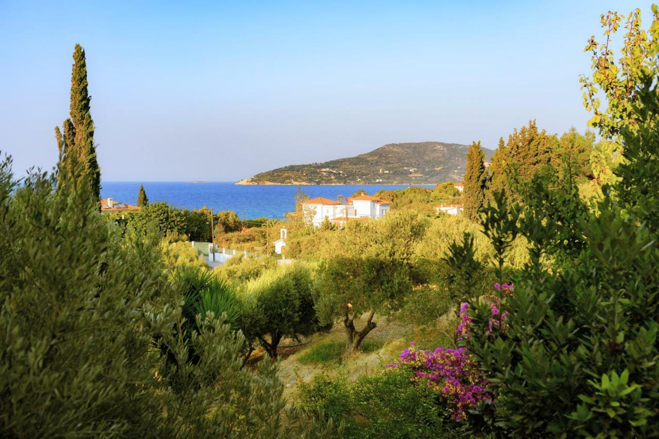 Kedros Hotel Samos Island Extérieur photo